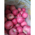 china fresh apple